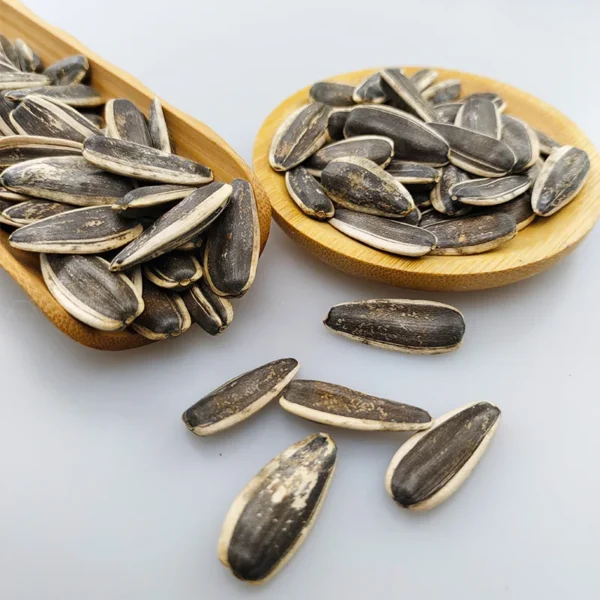 Best Price High Quality Raw Sunflower Seeds Big Size 361 - Image 2