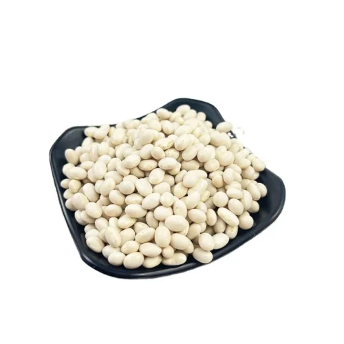 Food Grade White Beans (Dried Navy Beans)