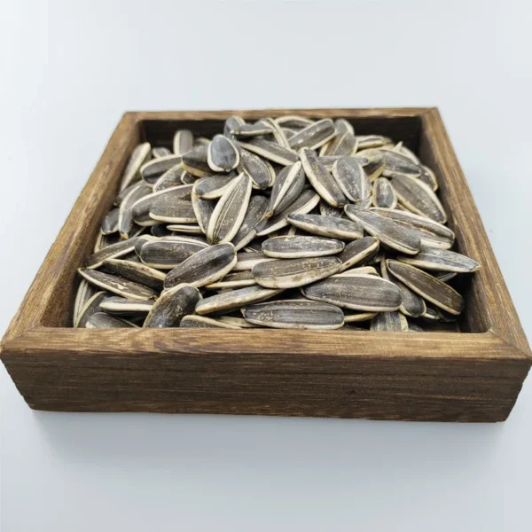 Best Price High Quality Raw Sunflower Seeds Big Size 361 - Image 4